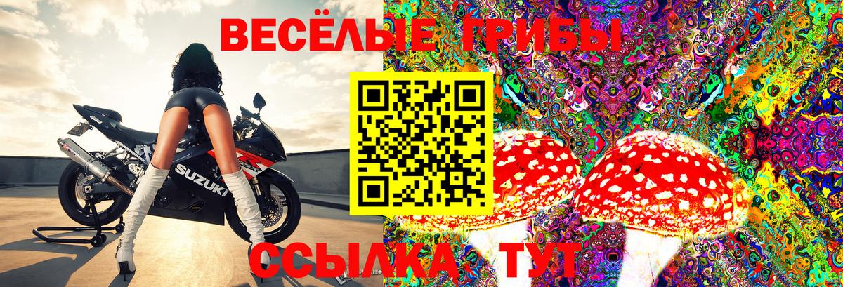 Галлюциногенные грибы MAGIC MUSHROOMS  Псилоцибиновые грибы GOLDEN TEACHER  Вход с VPN  Лесной 
